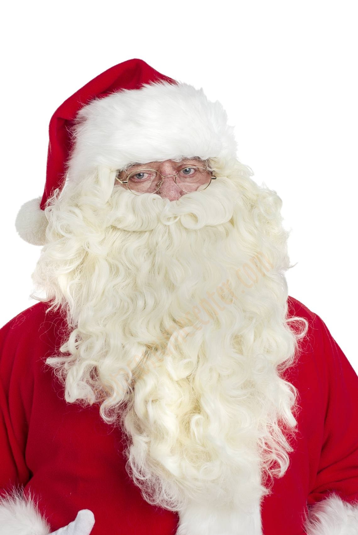 professional father christmas beard and wig