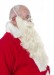 long cream Santa beard - in profile