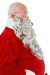 long gray Santa beard - in profile