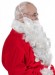 long white Santa beard - in profile